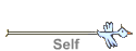 Self